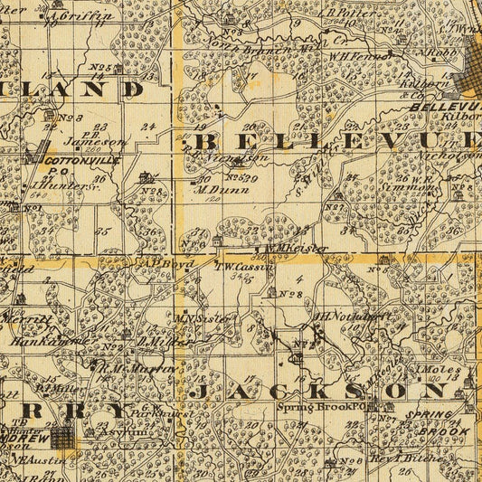 Vintage Map of Jackson County, Iowa, 1875