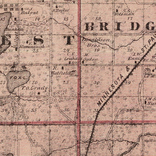 Vintage Map of Rice County, Minnesota, 1874