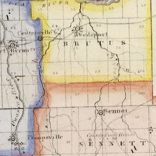 Vintage Map of Cayuga County, New York, 1840