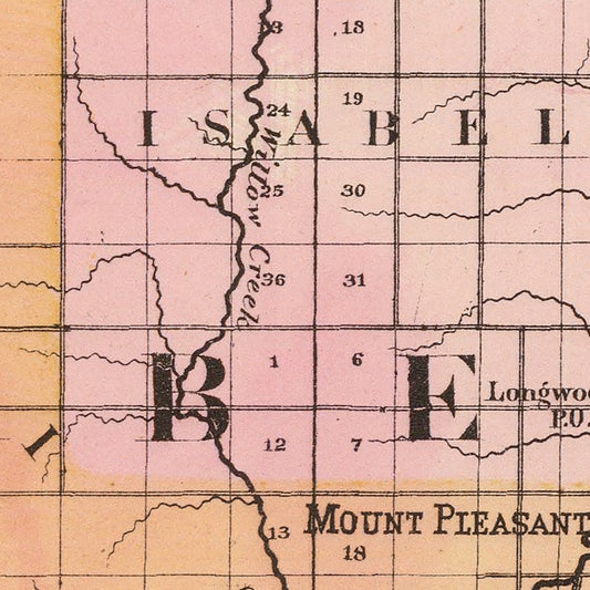 Vintage Map of Isabella County, Michigan, 1873