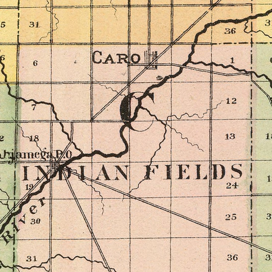 Vintage Map of Tuscola County, Michigan, 1873