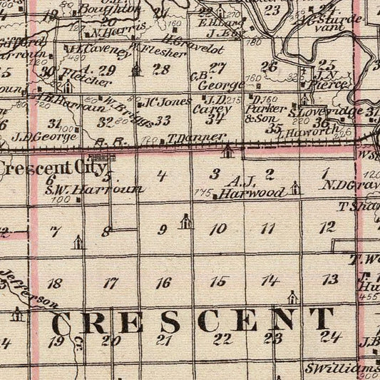 Vintage Map of Iroquois County, Illinois, 1876