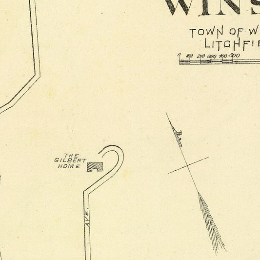 Vintage Map of Terryville, Connecticut, 1893