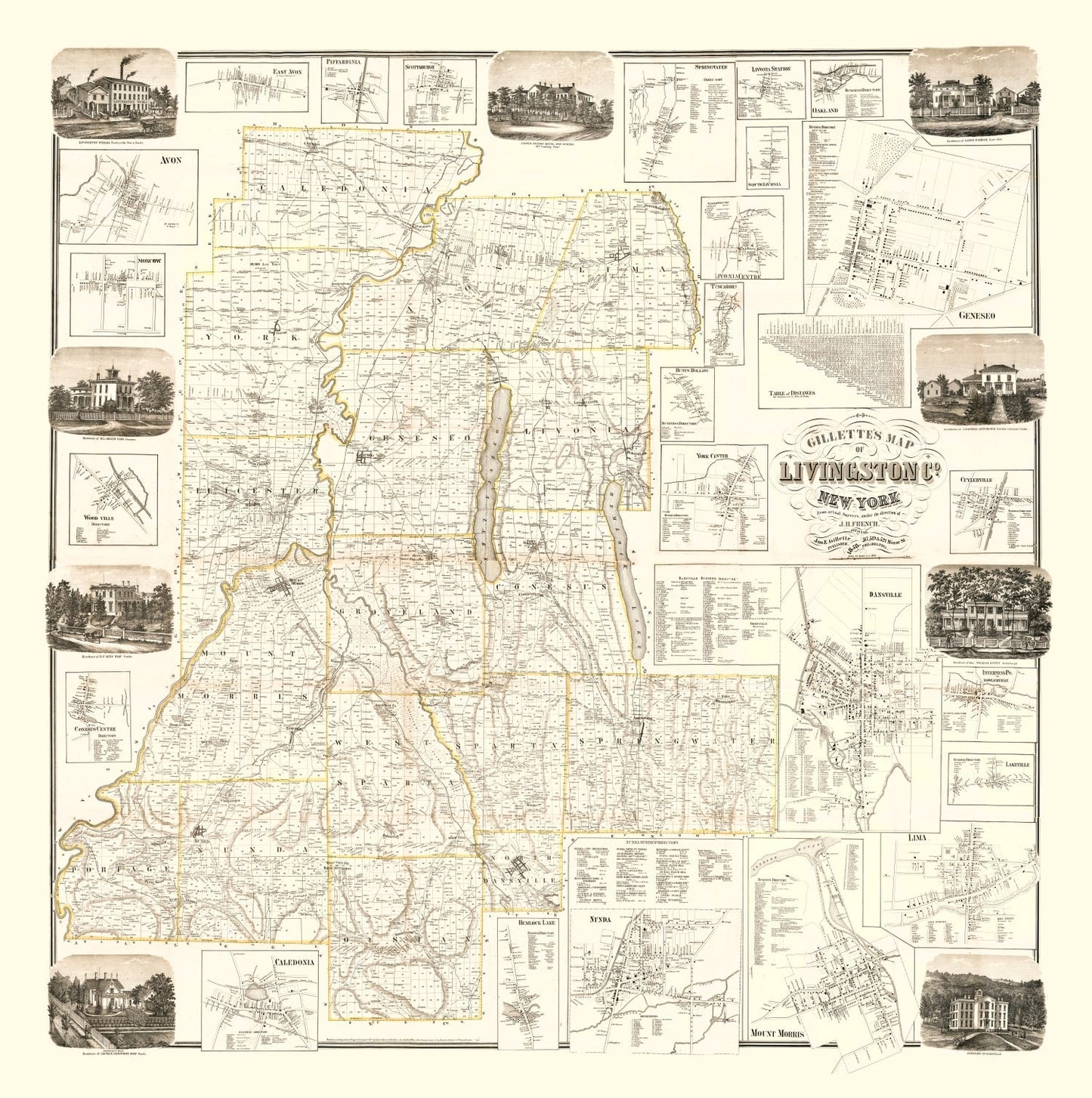 Vintage Map of Livingston County, New York, 1858