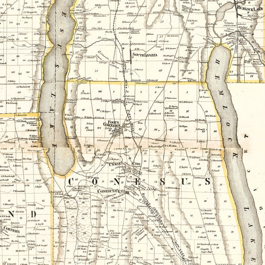 Vintage Map of Livingston County, New York, 1858