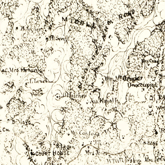 Vintage Map of Powhatan County, Virginia, 1864