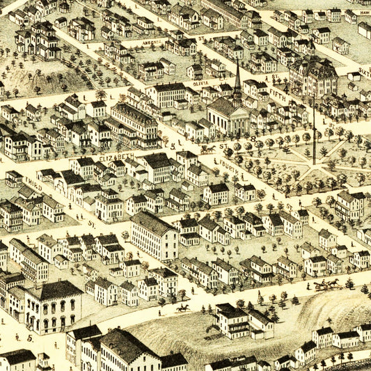 Vintage Map of Birmingham, Connecticut, 1876