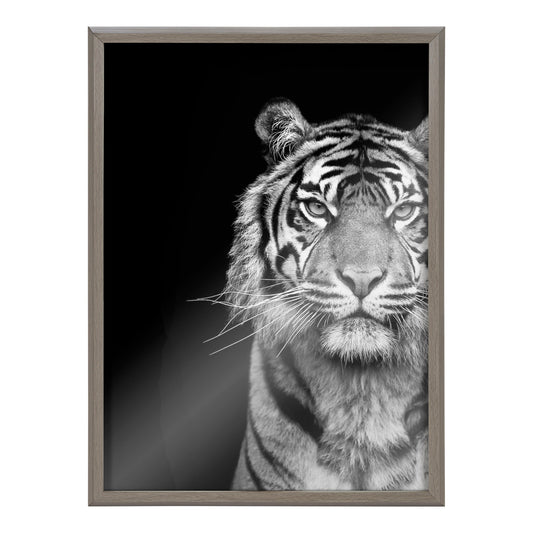 Minimalist Tiger Glass Wall Art
