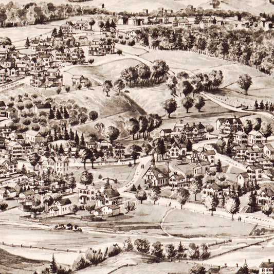 Vintage Map of Terryville, Connecticut, 1894