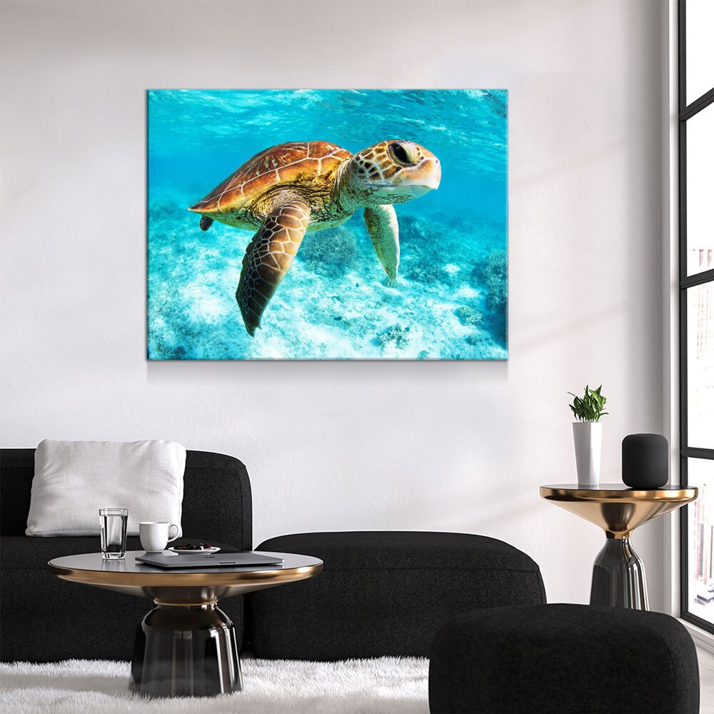 Underwater Sea Turtle Canvas Wall Art, Ocean Decor