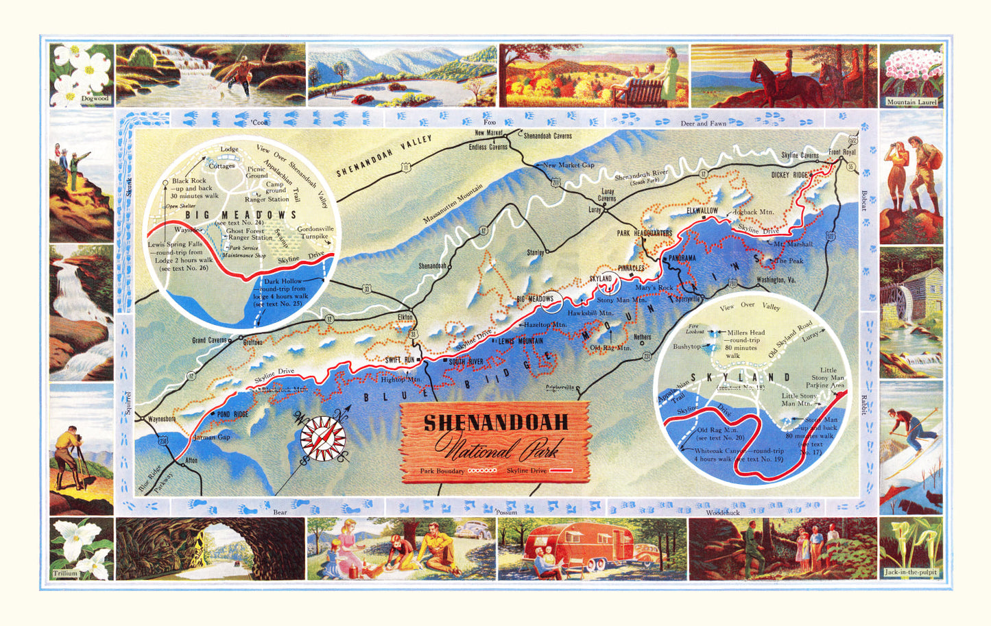 Vintage Map of Shenandoah National Park, Virginia, 1947