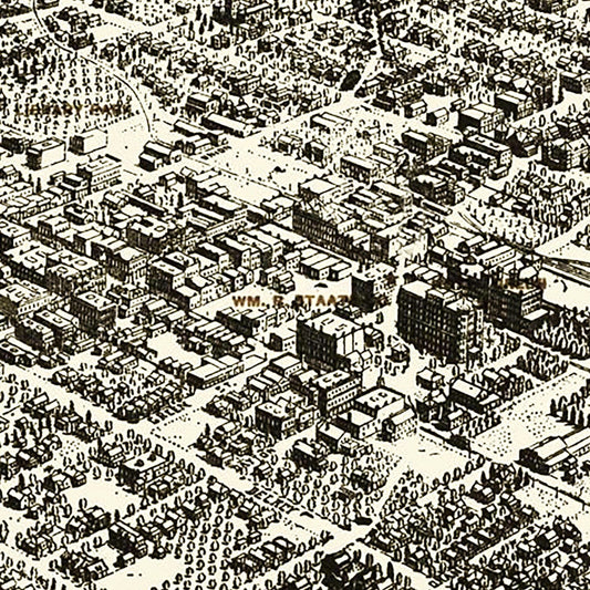 Vintage Map of Pasadena, California, 1903