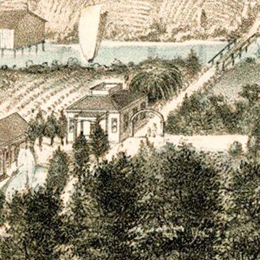 Vintage Map of Santa Cruz, California, 1878