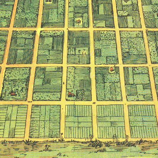 Vintage Map of Detroit, Florida 1911