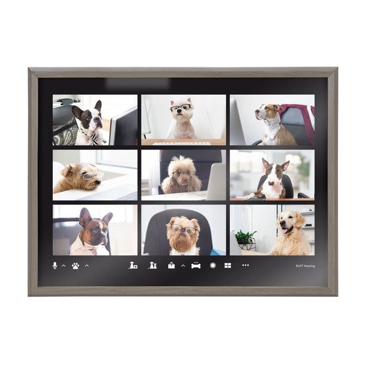 Video Chat Dogs Framed Glass Wall Art