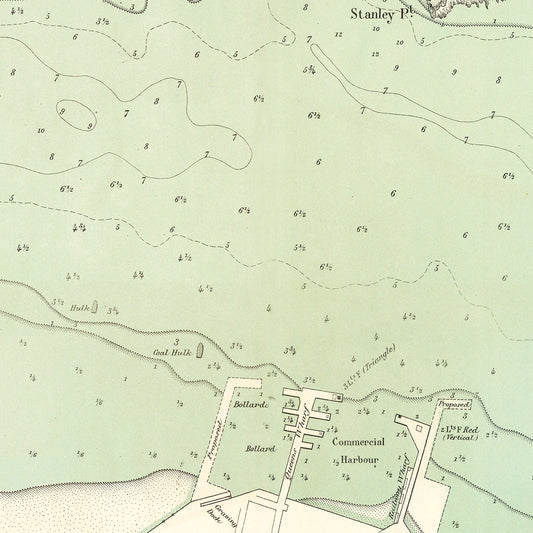 Vintage Map of Auckland, New Zealand, 1884