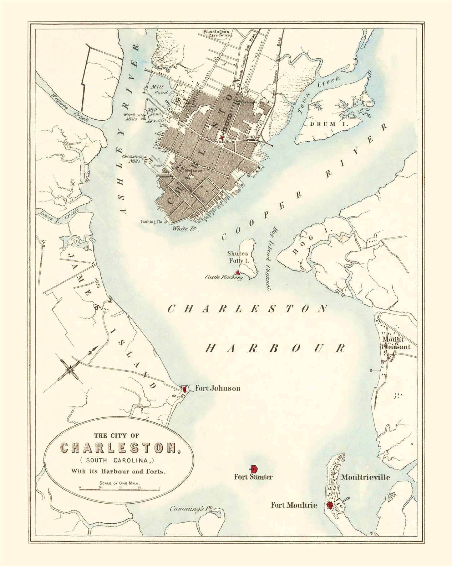 Vintage Map of Charleston, South Carolina, 1857 Wall Art