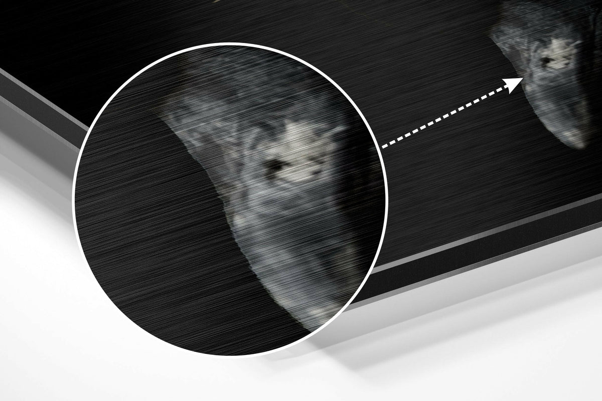 Magnified detail of the brushed metal grain showing through the grey crowned crane portrait print