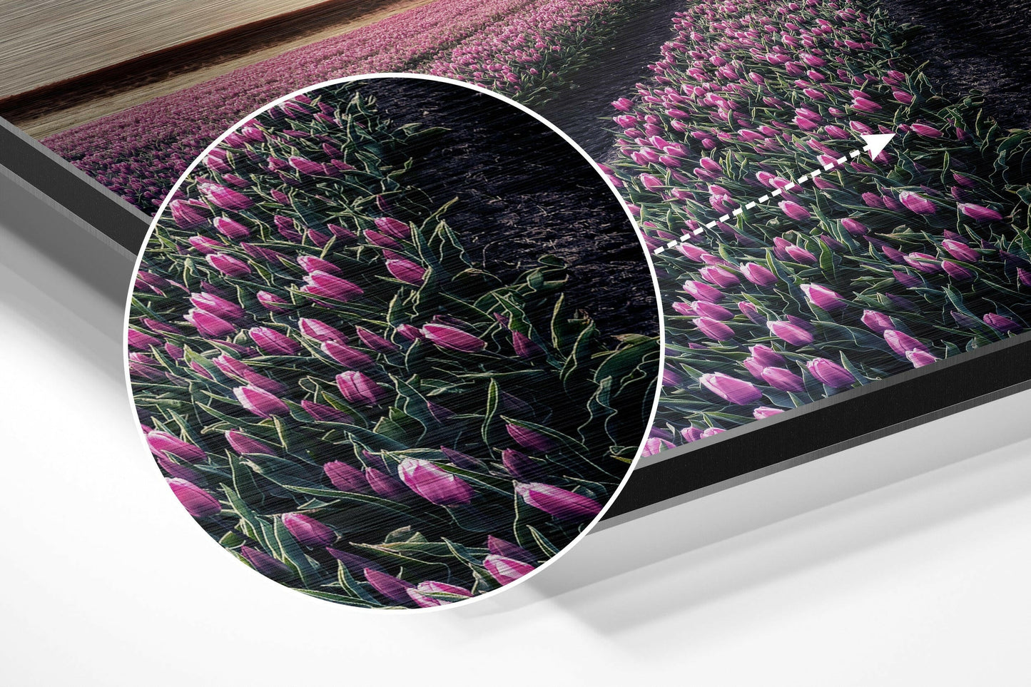 Tulip Field Metal Wall Art