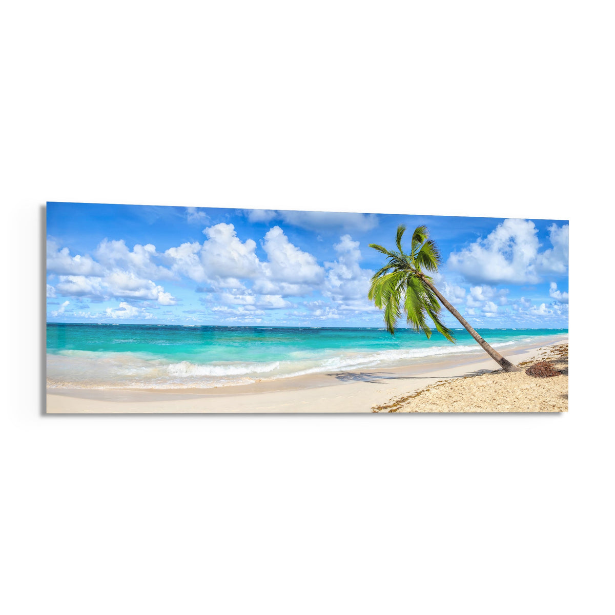Tropical palm tree beach panoramic glass print angled on a white background