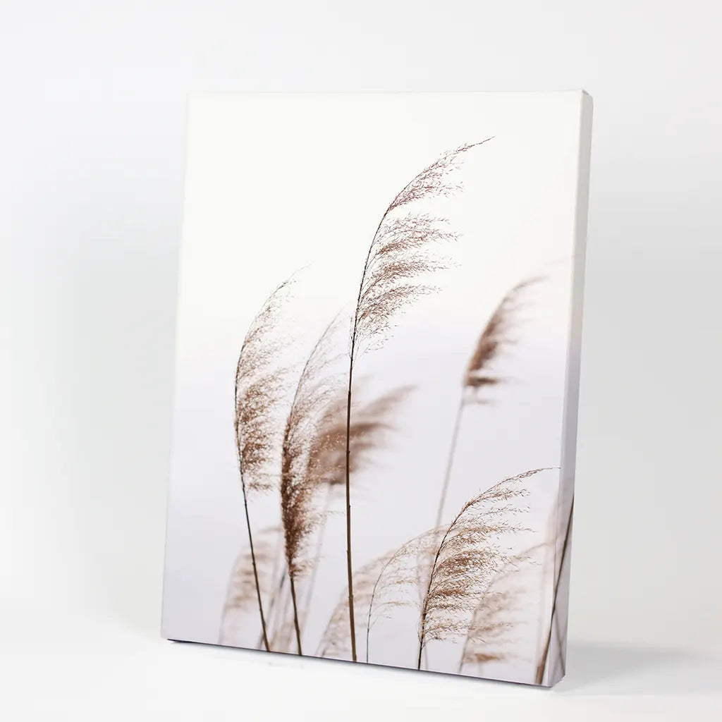 Beige Dried Grass Print - Summer Field Wall Art