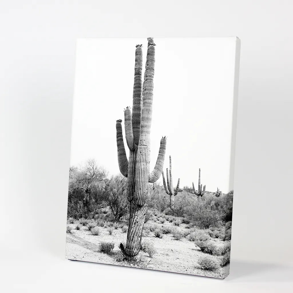 Black and White Saguaro Cactus Poster - Arizona Desert Art
