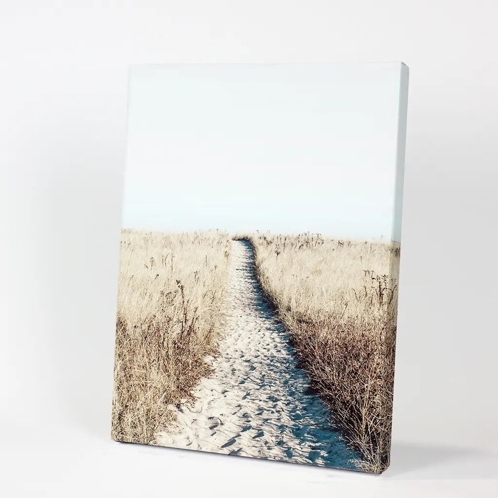 Calm Beach Wall Art Print, Sand Dunes Dried Grass