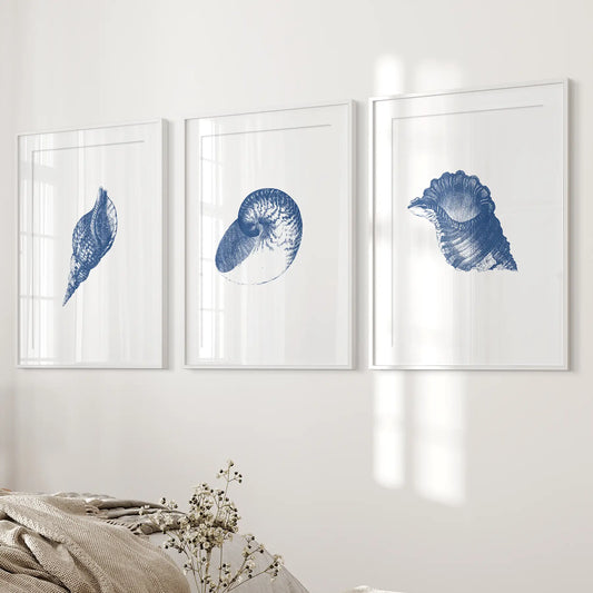 Ocean Shell Sea Theme Wall Art Set Navy Blue Vintage
