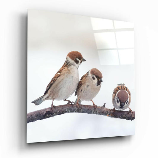 Birds in Flight Glass Wall Art