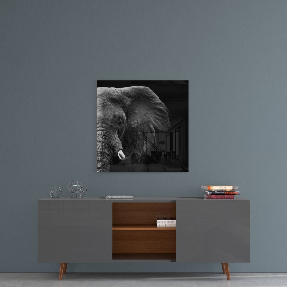 Elephant Light and Shadow Glass Wall Art