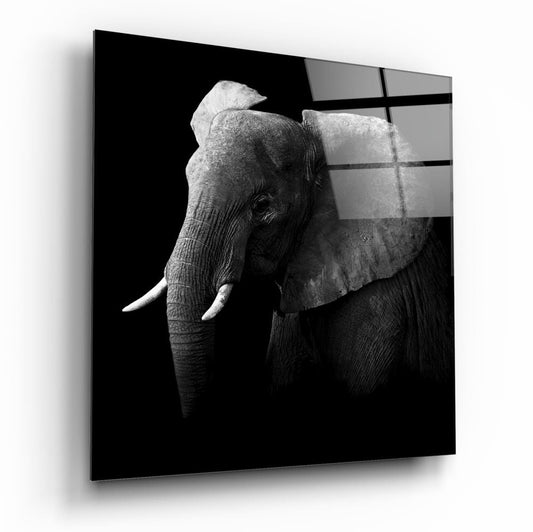 Elephant Wildlife Square Glass Wall Art