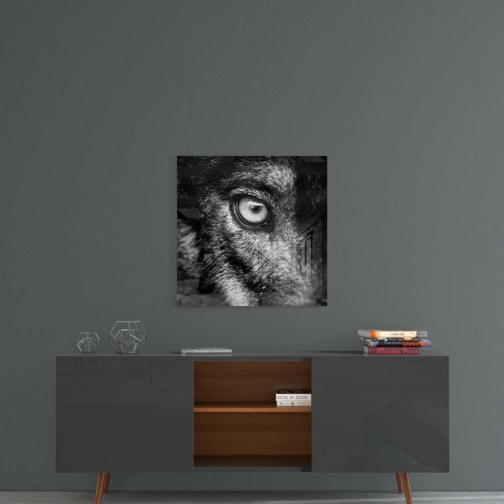 Wolf's Eye Glass Wall Art Close Up Print