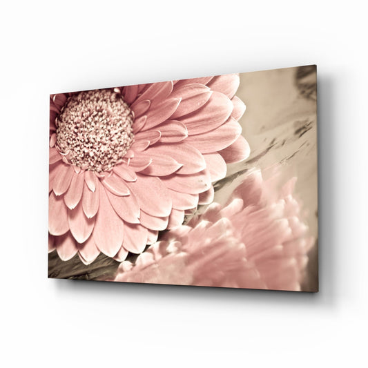 Gerbera Daisy Macro Glass Wall Art