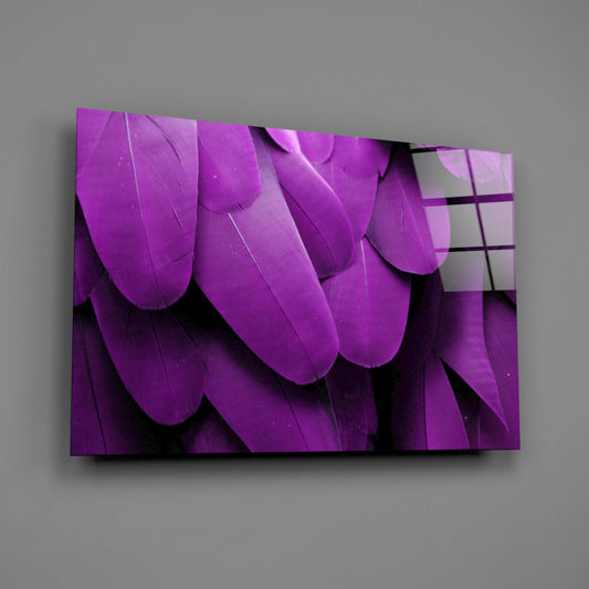 Bird Feathers Macro Glass Wall Art