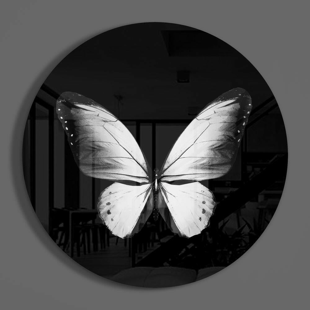 White butterfly on black round glass wall art hanging on a plain gray wall