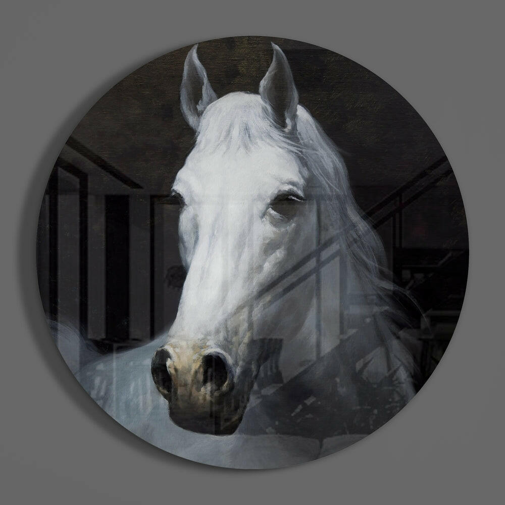 White horse portrait round glass wall art hanging on a plain gray wall