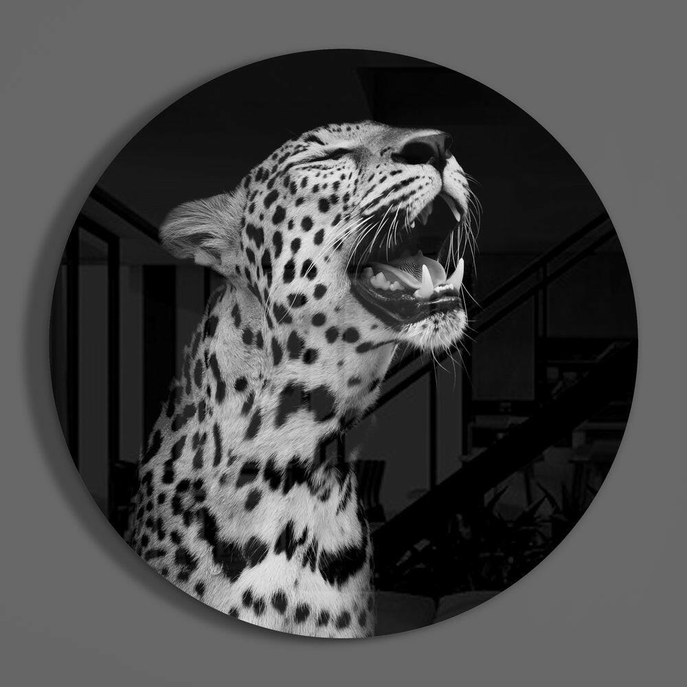 Black and white leopard round glass wall art on a gray wall, showing the glossy glass face