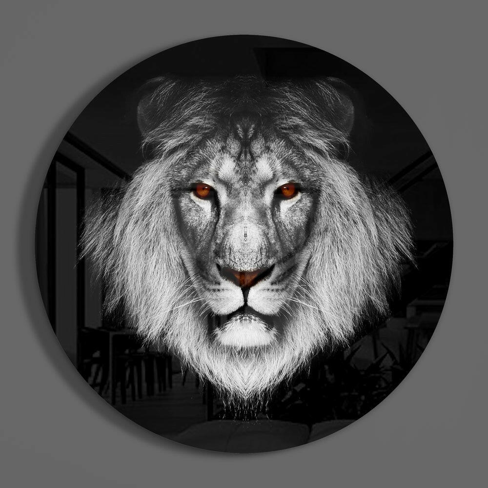 Amber eyed lion face round glass wall art on a plain gray wall