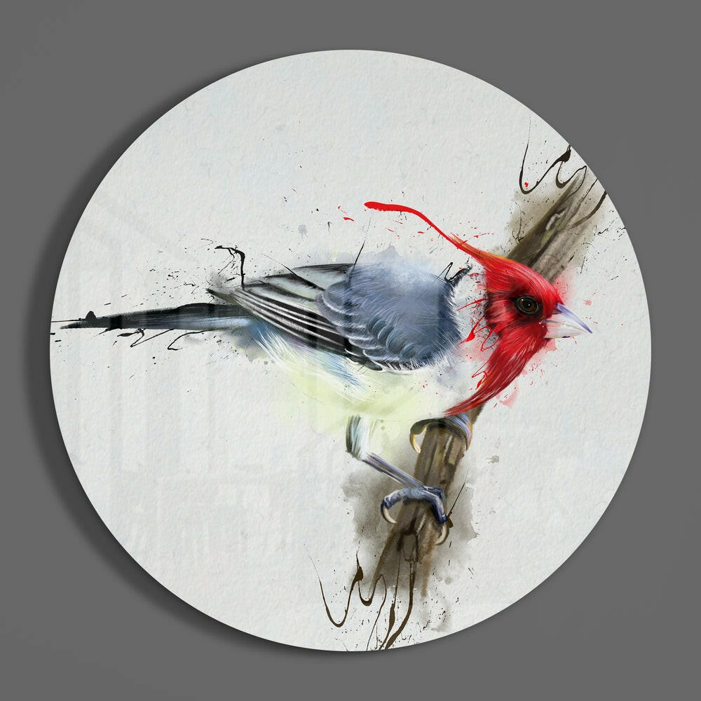 Red headed bird watercolor circle of glass on a plain gray wall