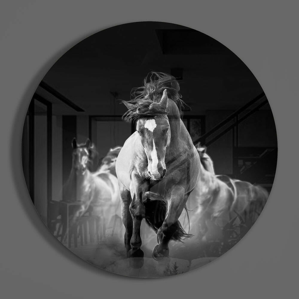 Galloping horses circle of glass on a plain gray wall