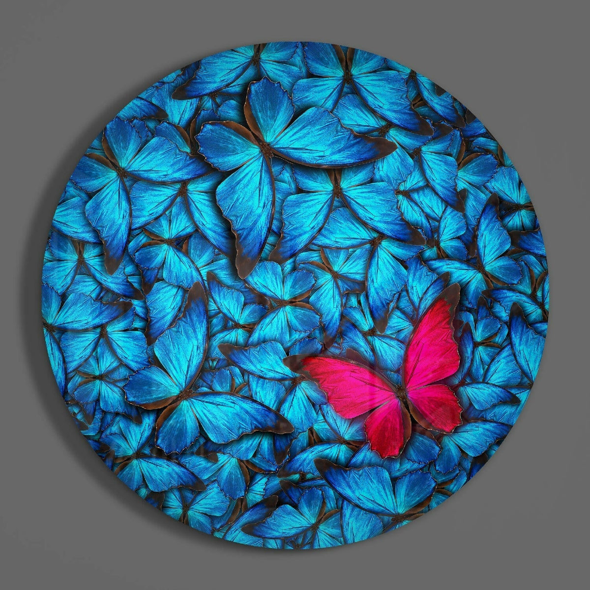Blue and red butterflies round glass wall art on a plain gray wall, glossy glass disc seen from the front