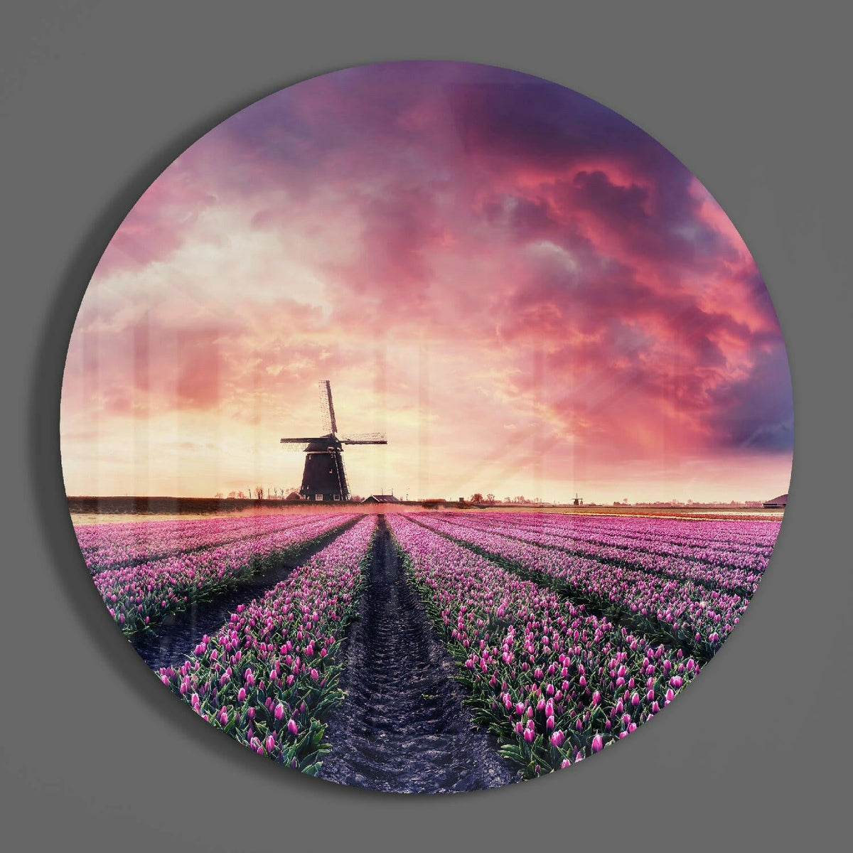 Tulip field and windmill sunset round glass wall art hanging on a plain gray wall