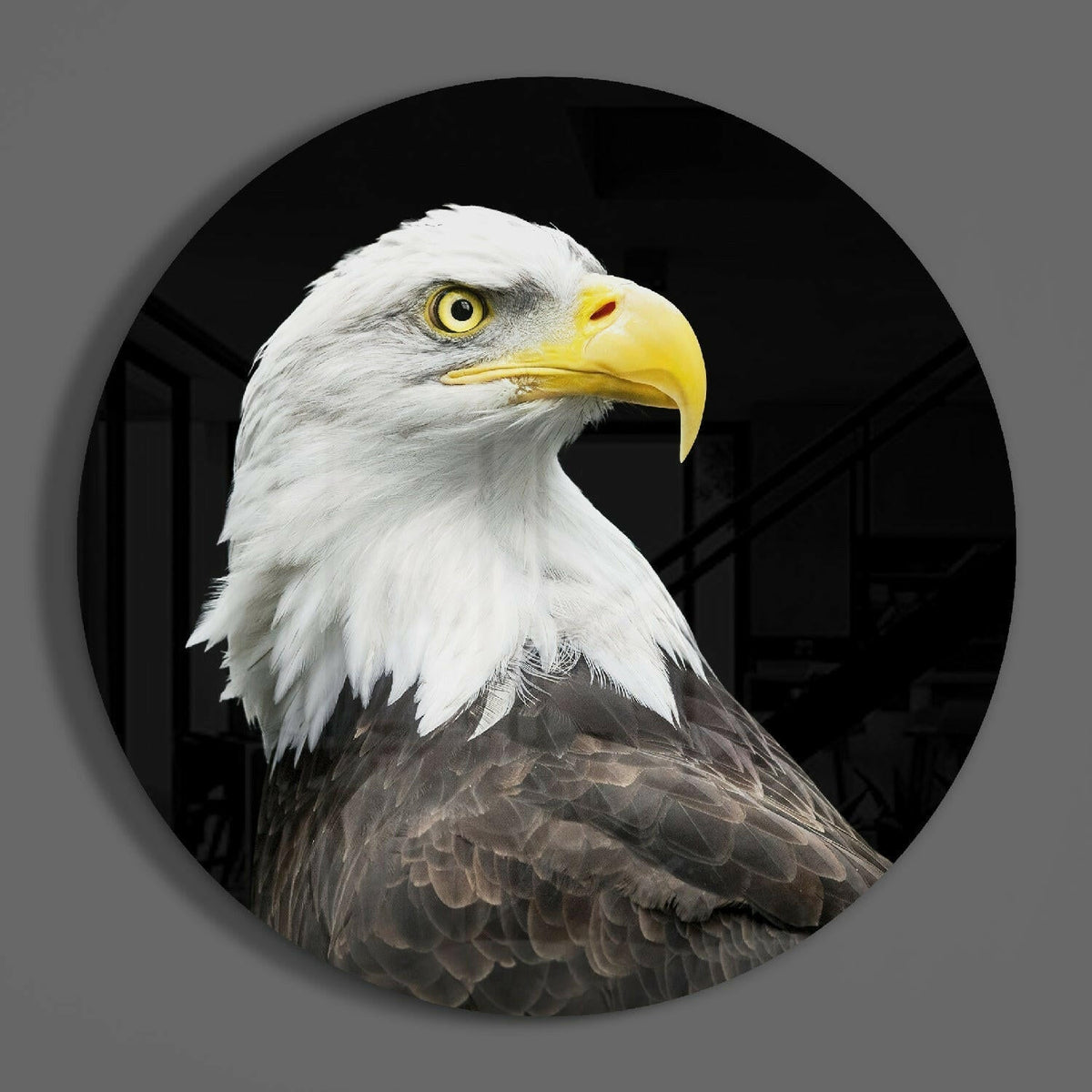 Bald eagle head round glass wall art on a plain gray wall
