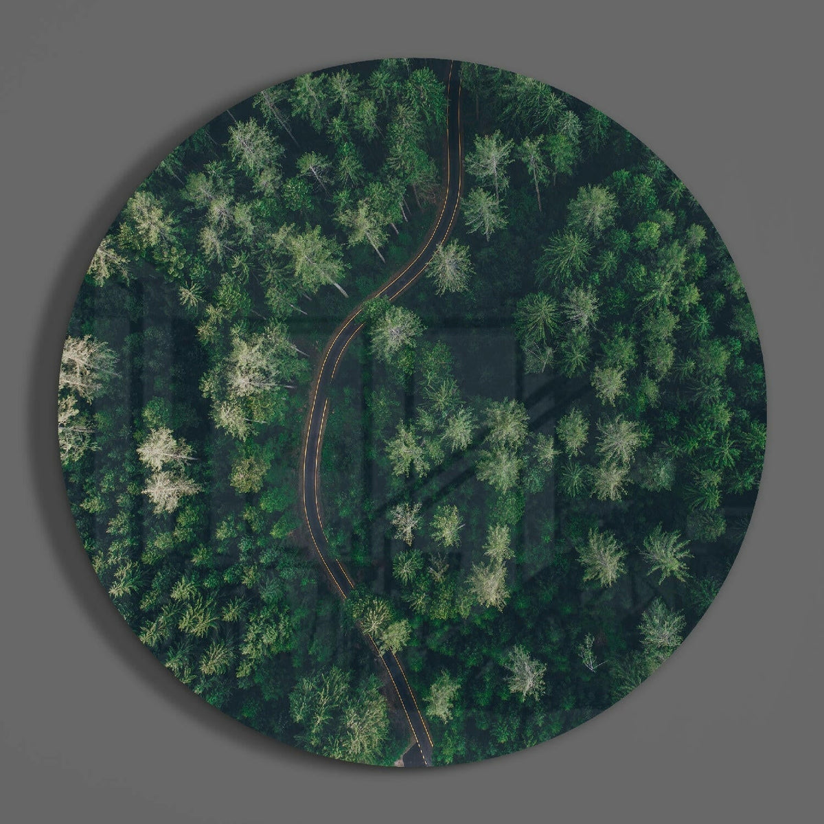Aerial forest road round glass disc casting a soft shadow on a gray wall