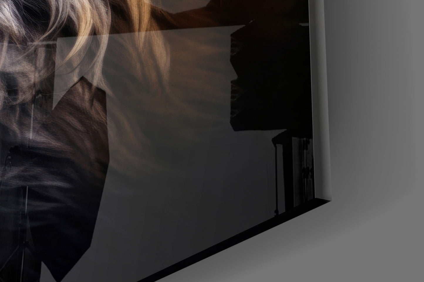 Eyes of the Fox Glass Wall Art
