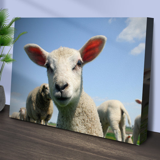 Curious Lamb Close-Up canvas leaning against a wall, shown at an angle