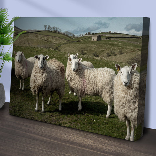 Flock of Sheep Canvas Wall Art Farmhouse Decor