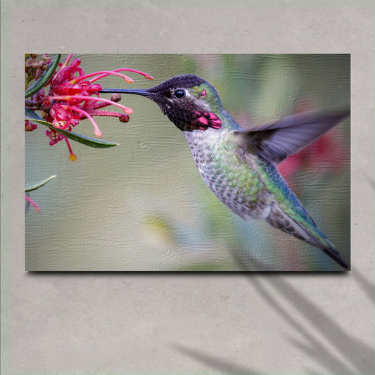 Hummingbird at a red blossom canvas on a beige wall