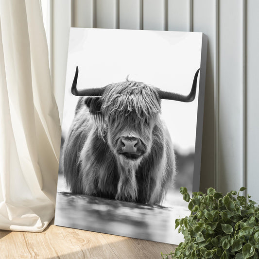 Highland cow black and white canvas leaning against a paneled wall beside a cream curtain and a plant