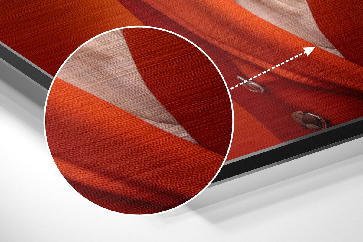 Magnified detail of the brushed metal grain showing through the white bird in a fedora and red coat print